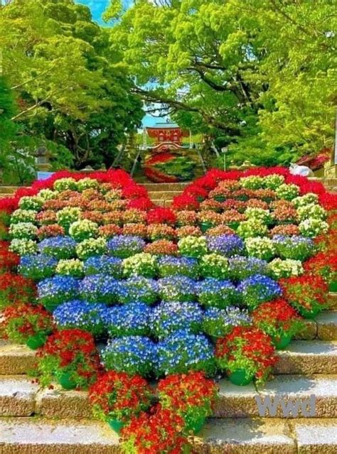 Pin By Kurdistan Median Empire On Flowers Beautiful Gardens