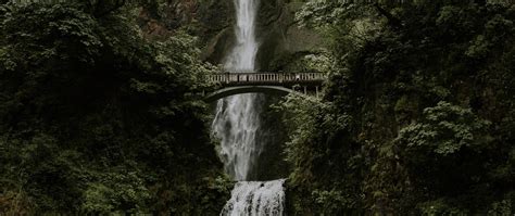 Download Wallpaper 2560x1080 Waterfall Cliff Bridge Trees Water