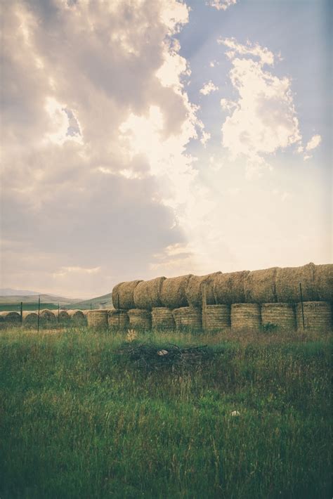 Free Images Landscape Tree Nature Horizon Light Cloud Sky Sun