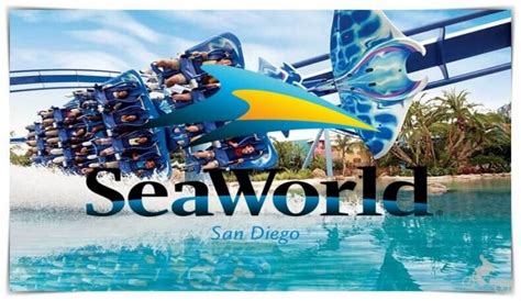 Seaworld San Diego Atracciones Opiniones Del Parque
