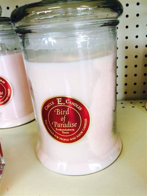 Bird Of Paradise Circle E Cookie BIG Cookie Jar Size Candle HUGE