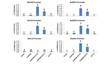 | Transcription activation assay of EsMYB9 against promoters of the... | Download Scientific Diagram