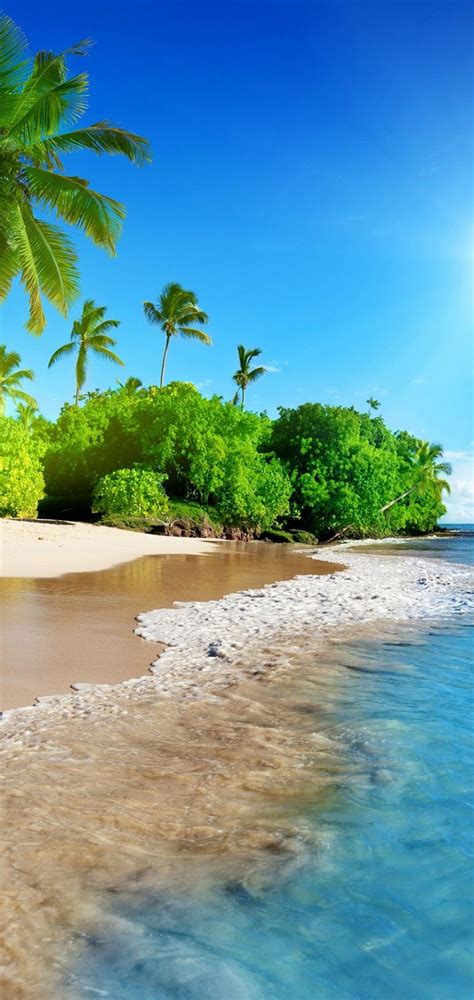 Sunshine Beach Coast Tropical Paradise Wallpaper 720x1520