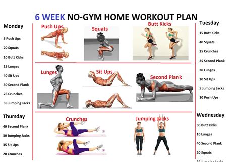 Https://tommynaija.com/home Design/6 Week Workout Plan To Gain Muscle At Home