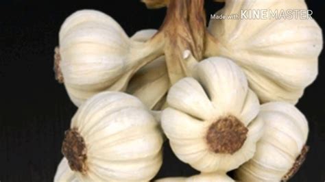 Bawang putih mampu membantu mengurangi pengentalan darah, dan meningkatkan kesehatan jantung. khasiat bawang putih - YouTube