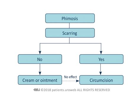 Treatment Of Phimosis Patient Information