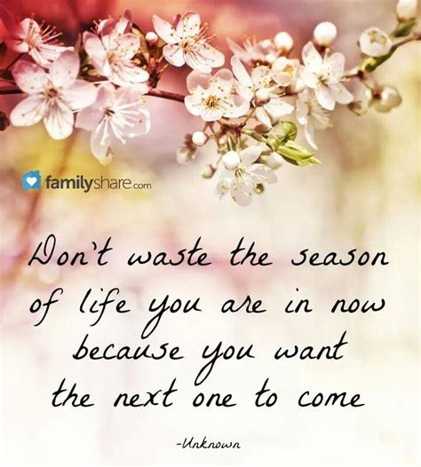Enjoy Every Season Of Life As It Comes You Want To Live To Enjoy Them All Seasons Of Life