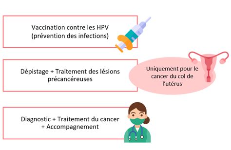 Papillomavirus Hpv Stop Hpv Isère