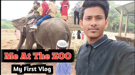 Me At The Zoo My First Vlog Youtube