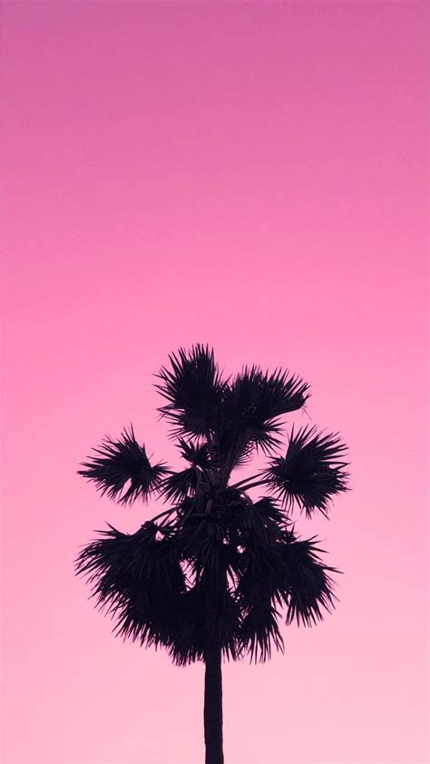 Download Palm Tree On Aesthetic Pink Sky Wallpaper