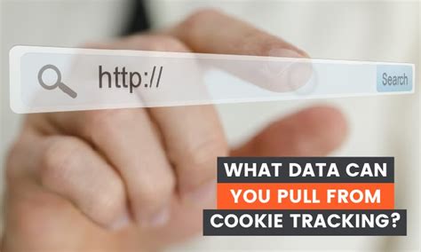 What Data Can You Pull From Cookie Tracking
