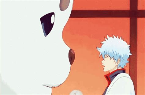 Sakata Gintoki And Sadaharu Gintama Manga Anime All Anime Otaku Anime Anime Art Gintama