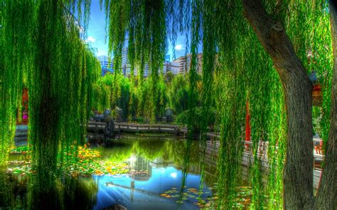Landscapes Nature Lakes Asian Oriental Reflection Trees Green Colors