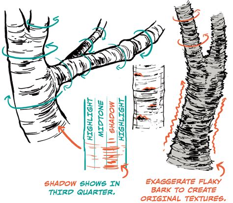 Sketch Tree Bark Texture Drawing Menestreistear