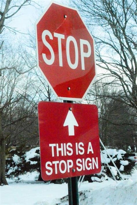 15 Absurd Signs That Really State The Obvious