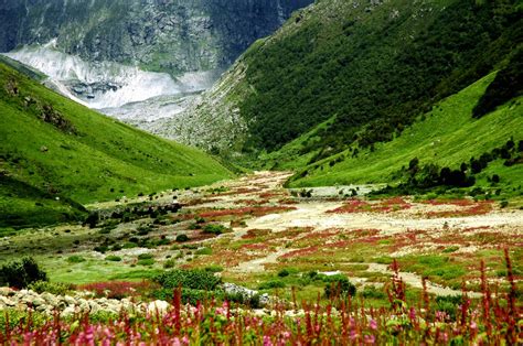 Itinerary For Valley Of Flowers Hemkund Sahib And Badrinath Tripoclan