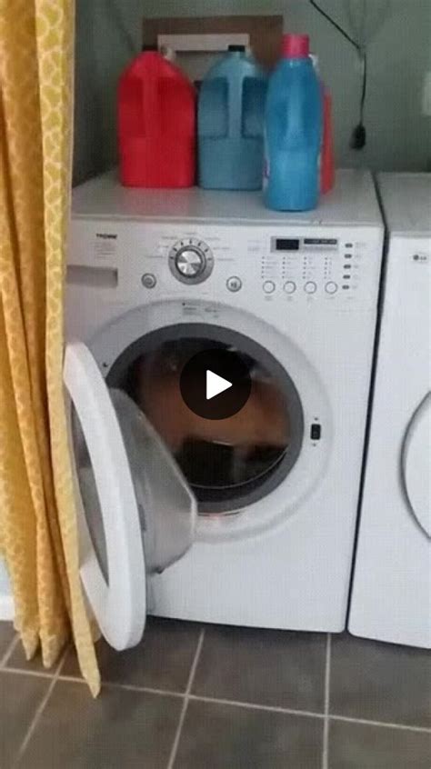 Cats Like Modern Washing Machines In The Apartment Modern Washing