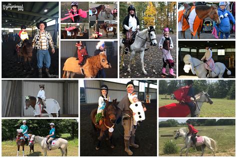 10 Ideas For Halloween Horse And Rider Costumes
