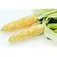Organic Sweet Corn  Produce Geek