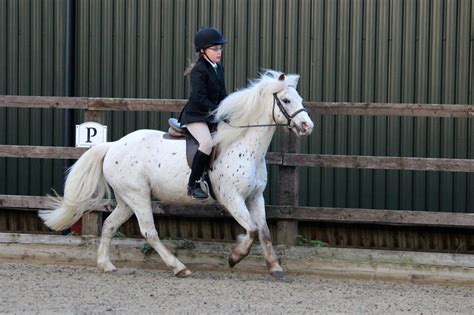 10 Fantastic Things About Riding Schools Features The Gaitpost