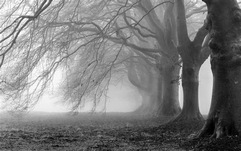 28 Creepy Backgrounds Wallpapers Images Pictures