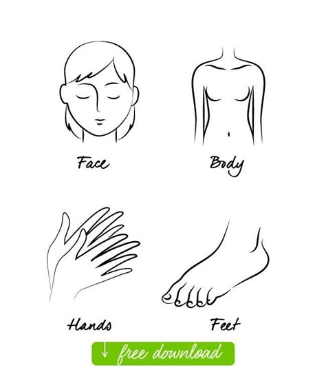 Face Body Hands Feet Hurca Sketch Factory