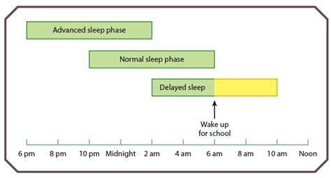 Circadian Rhythm Sleep Disorders Obgyn Key