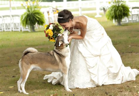 A Woman Kneeling Down Next To A Dog With Flowers In Its Mouth And