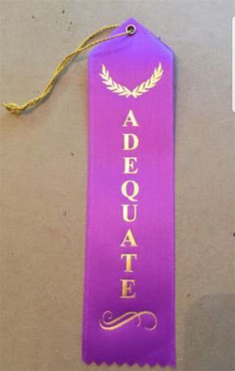 Once I Learned I Could Just Buy Participation Ribbons I Became Much