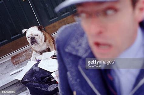 Scared Mailman Photos And Premium High Res Pictures Getty Images