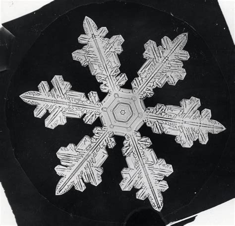 Celebrating Snowflake Bentley In Pictures Vermont Public Radio