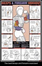 Bicep Home Workouts