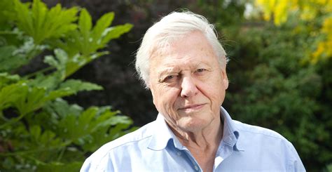 The 2004 Lecture That Finally Convinced David Attenborough About Global