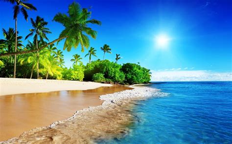 Summer Wallpaper Kolpaper Awesome Free Hd Wallpapers