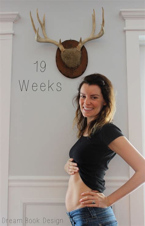 Pics Photos 19 Weeks Pregnant