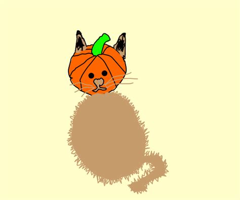 Cat In A Pumpkin Drawception