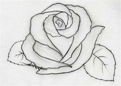 Pencil Drawing Rose Flowers Easy Flower Drawings In  Rose Flower