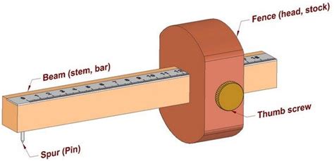The Parts Of A Mechanical Device Are Labeled In This Diagram Including