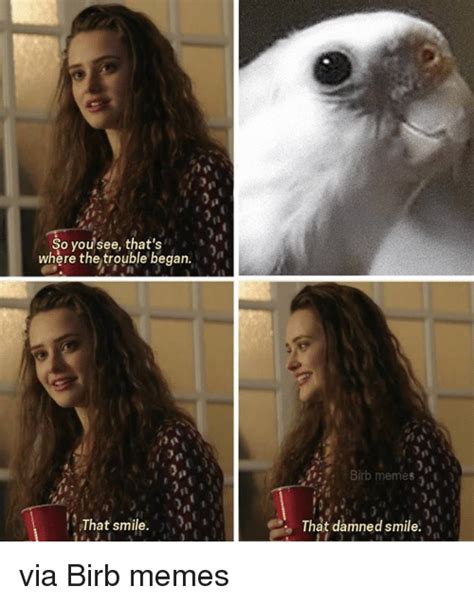 So You See That S Where The Trouble Began Birb Memes Ri It That Smile That Damned Smile Via Birb