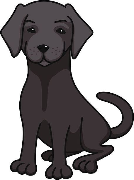 Cartoon Of Black Lab Dogs Illustrations Royalty Free Vector Graphics