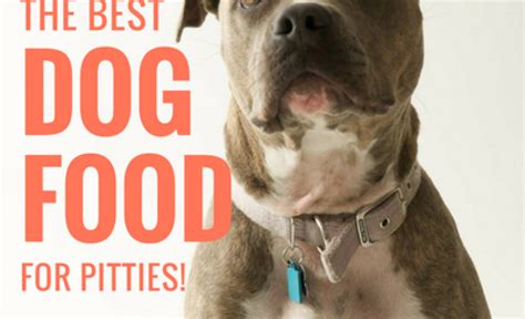 Maybe you would like to learn more about one of these? 3 Best Dog Foods For Pit Bulls: A Guide to Pittie Nutrition!