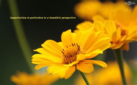 Quotes About Happiness And Flowers Quotesgram