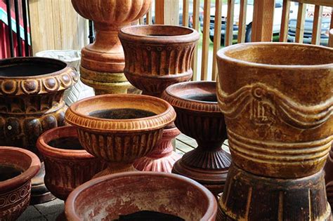 The pot you choose should also have at least at the bottom, there is an integrated tray for collecting water. Plant Republic - Indoor Plant Service