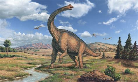 How Was Brachiosaurus Discovered