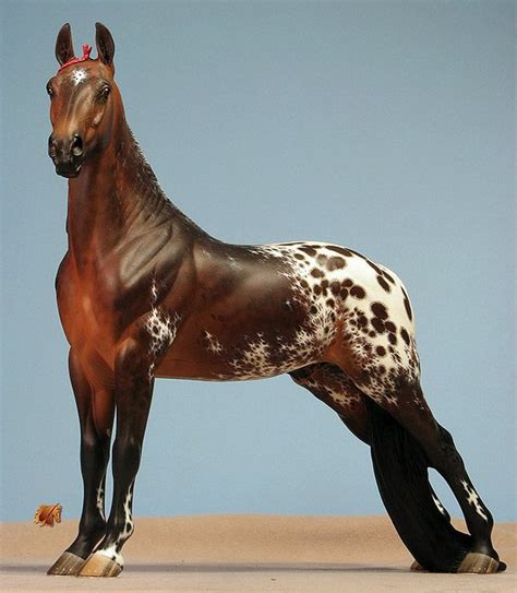 Rose Independence Painted By C Williams Appaloosa Horses Custom Horse
