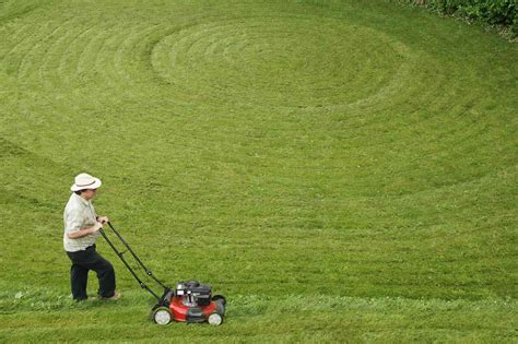 7 Common Lawn Mowing Patterns And When To Use Them