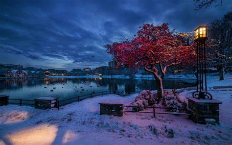 Norway Rogaland Stavanger Winter Snow Evening Lights