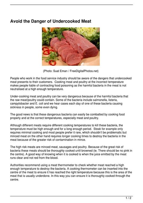 Avoid The Danger Of Undercooked Meat By Peter R Issuu