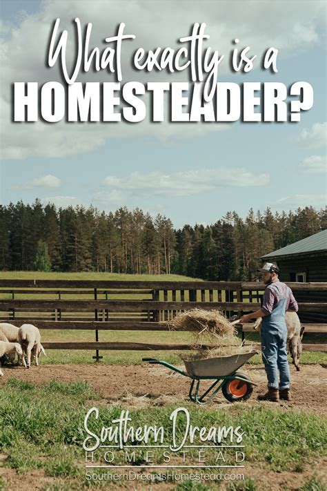 What Is A Homesteader Southern Dreams Homestead In 2022