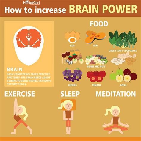 How To Increase Brain Power Herbal Medicine Store